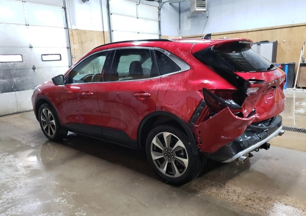 Ford Escape cena 68000 przebieg: 11052, rok produkcji 2023 z Białogard małe 79